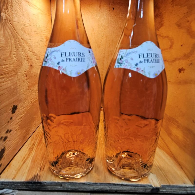 Fleurs de Prairie Rose 2025